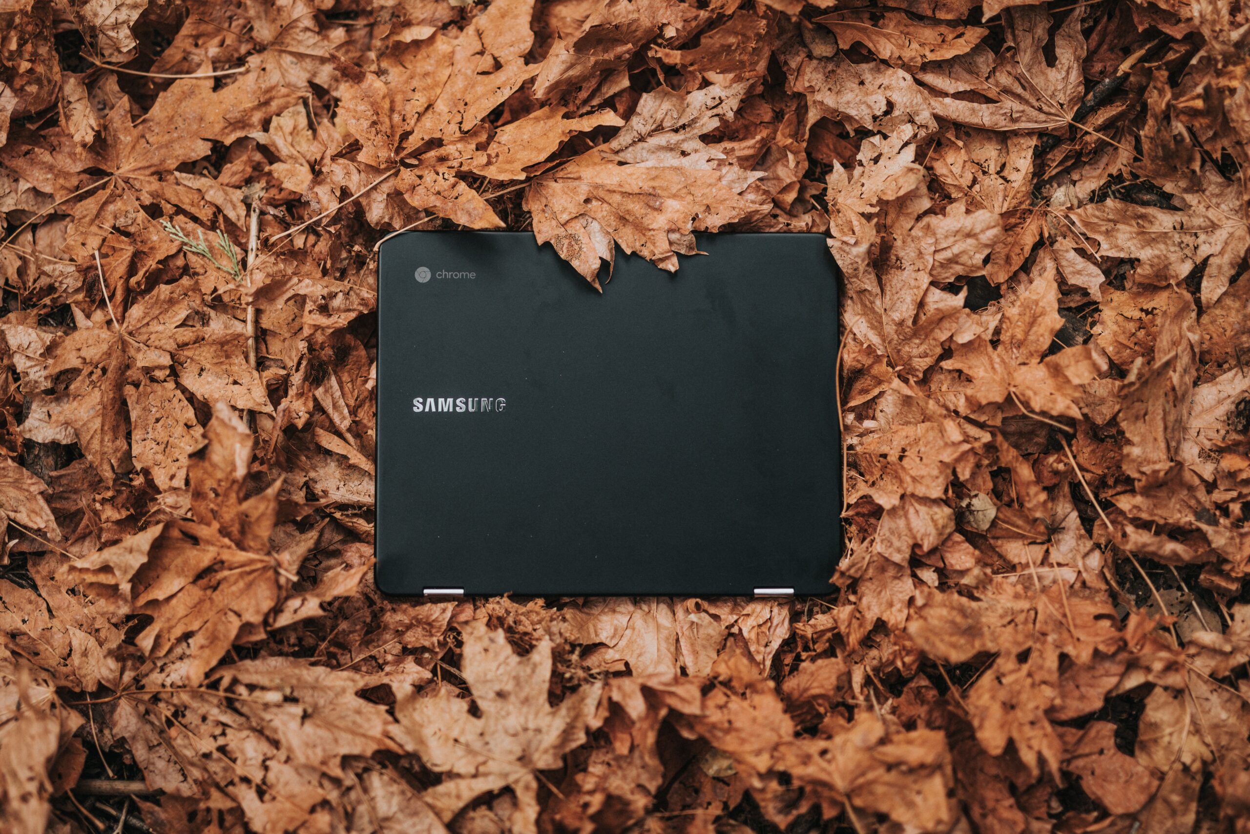 samsung laptop in fall leaves